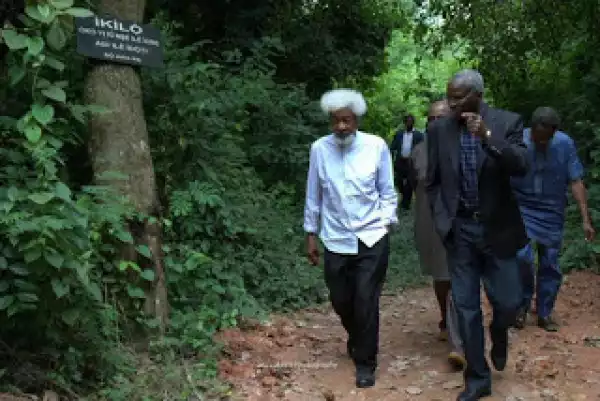 Fashola And Amaechi Visit Wole Soyinka In Abeokuta [See Photos]
